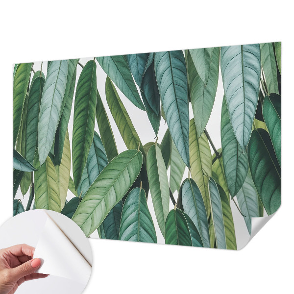 Tapet autocolant perete cu motiv cu țărm tropical