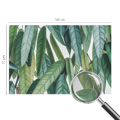 Tapet autocolant perete cu motiv cu țărm tropical