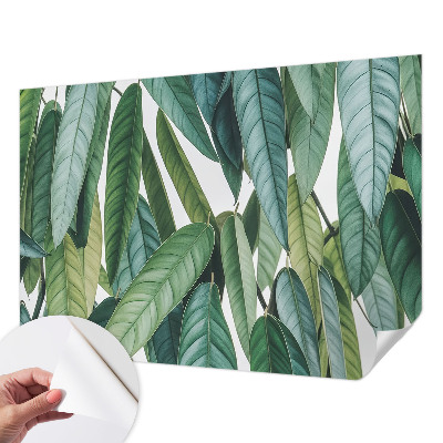 Tapet autocolant perete cu motiv cu țărm tropical