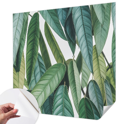 Tapet autocolant perete cu motiv cu țărm tropical