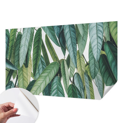 Tapet autocolant perete cu motiv cu țărm tropical