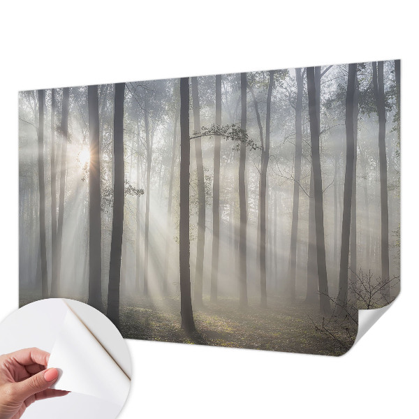 Fototapet autoadeziv pentru camera copiilor cu un peisaj misterios