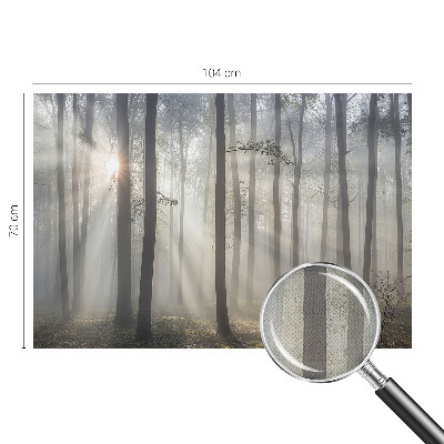 Fototapet autoadeziv pentru camera copiilor cu un peisaj misterios