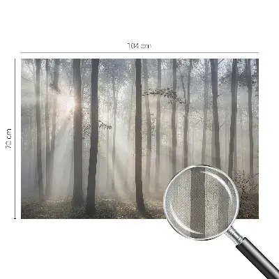 Fototapet autoadeziv pentru camera copiilor Peisaj misterios