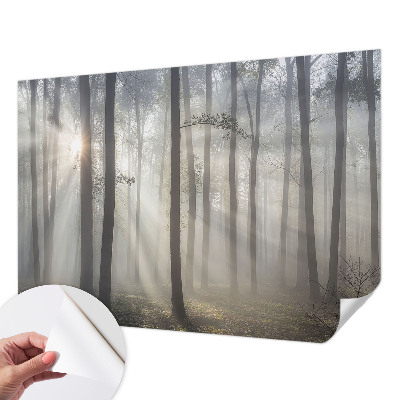 Fototapet autoadeziv pentru camera copiilor cu un peisaj misterios