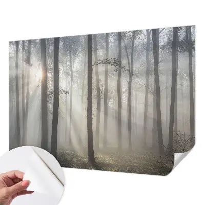 Fototapet autoadeziv pentru camera copiilor Peisaj misterios
