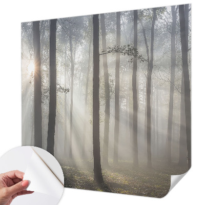 Fototapet autoadeziv pentru camera copiilor cu un peisaj misterios