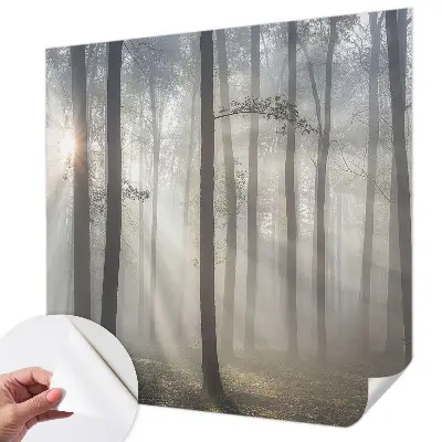 Fototapet autoadeziv pentru camera copiilor Peisaj misterios
