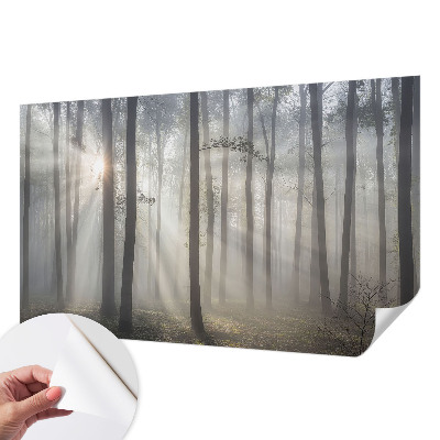 Fototapet autoadeziv pentru camera copiilor cu un peisaj misterios