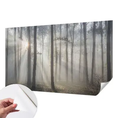 Fototapet autoadeziv pentru camera copiilor Peisaj misterios