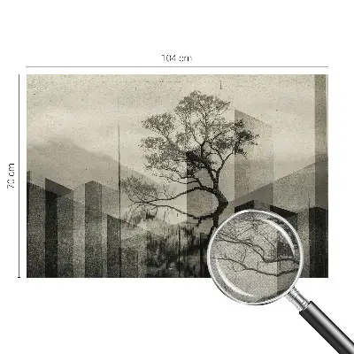 Fototapet 3d pentru living Peisaj forestier