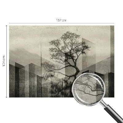 Fototapet 3d pentru living Peisaj forestier