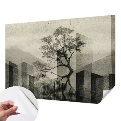 Fototapet 3d pentru living Peisaj forestier