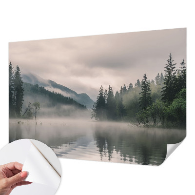 Fototapet 3d autoadeziv Citirea caracterului