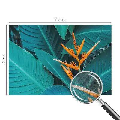Fototapet 3d pentru living Abstracție colorată