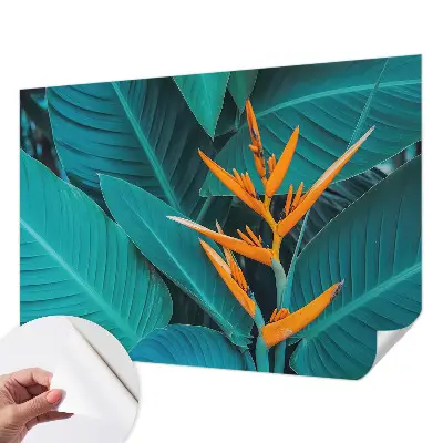 Fototapet 3d pentru living Abstracție colorată