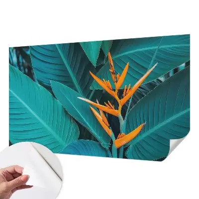 Fototapet 3d pentru living Abstracție colorată