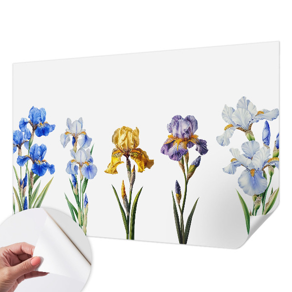 Fototapet 3D pentru dormitor cu motiv de hartă istorică