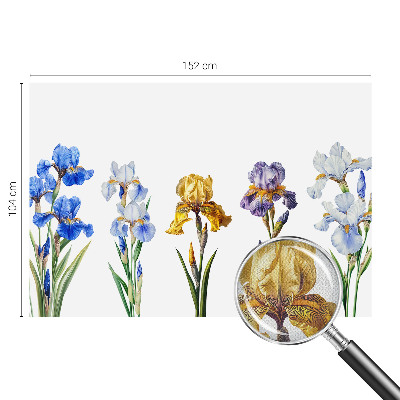 Fototapet 3D pentru dormitor cu motiv de hartă istorică