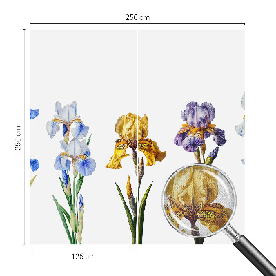 Fototapet 3D pentru dormitor cu motiv de hartă istorică