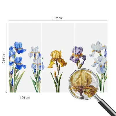 Fototapet 3d pentru dormitor Hartă istorică