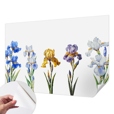 Fototapet 3D pentru dormitor cu motiv de hartă istorică