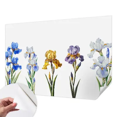 Fototapet 3d pentru dormitor Hartă istorică