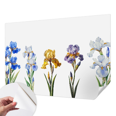 Fototapet 3D pentru dormitor cu motiv de hartă istorică
