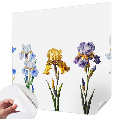 Fototapet 3D pentru dormitor cu motiv de hartă istorică