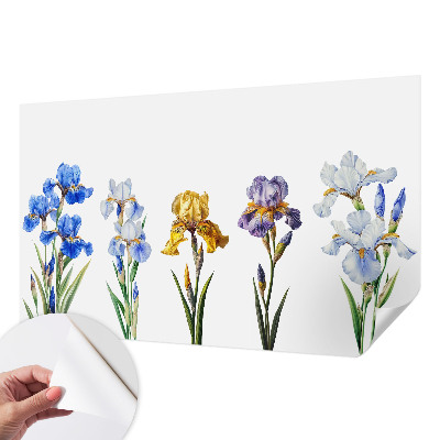Fototapet 3D pentru dormitor cu motiv de hartă istorică