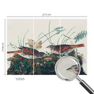 Fototapet autocolant cu motiv de pădure de mesteacăn