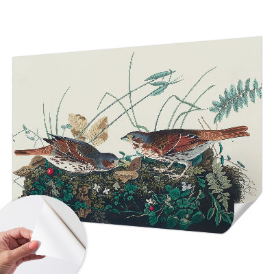 Fototapet autocolant cu motiv de pădure de mesteacăn