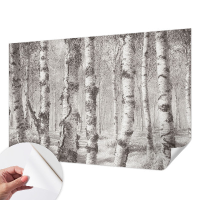 Fototapet 3D pentru living cu ilustrație „Parcul de primăvară”