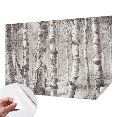 Fototapet 3D pentru living cu ilustrație „Parcul de primăvară”