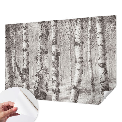 Fototapet 3D pentru living cu ilustrație „Parcul de primăvară”