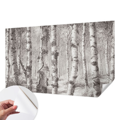 Fototapet 3D pentru living cu ilustrație „Parcul de primăvară”
