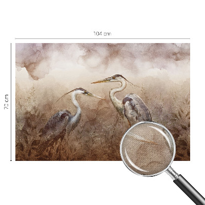Nazwa produktu Pasiunea pentru fotografie