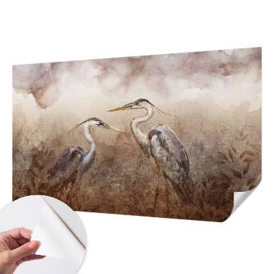 Nazwa produktu Pasiunea pentru fotografie