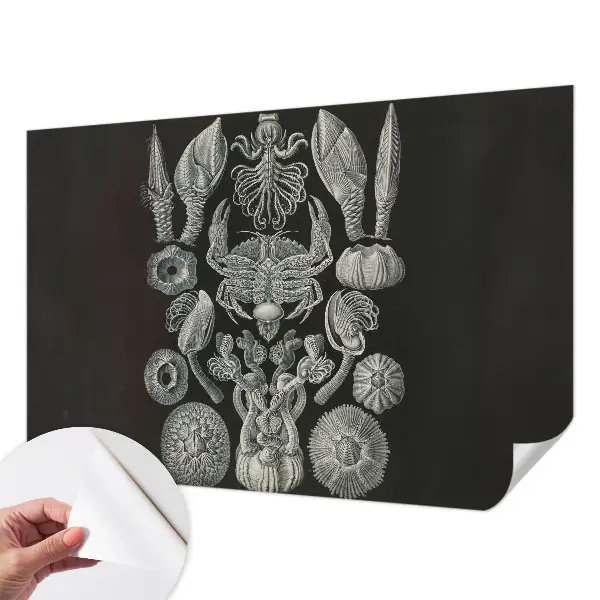 Fototapet autocolant Scenă satului