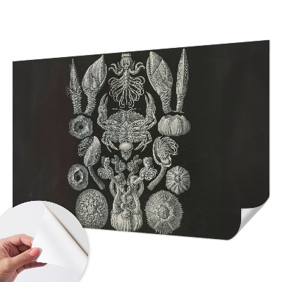 Fototapet autocolant Scenă satului