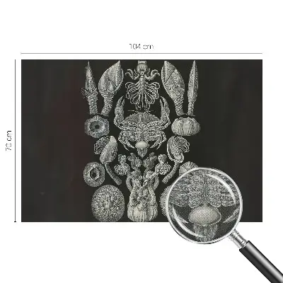 Fototapet autocolant Scenă satului
