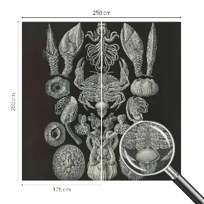 Fototapet autocolant Scenă satului