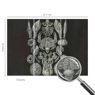 Fototapet autocolant Scenă satului