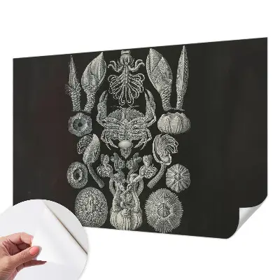 Fototapet autocolant Scenă satului
