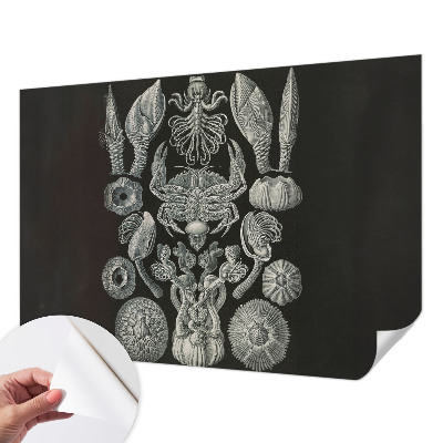 Fototapet autocolant cu scena unui sat
