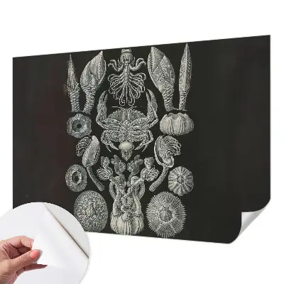 Fototapet autocolant Scenă satului