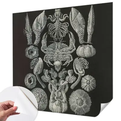 Fototapet autocolant Scenă satului