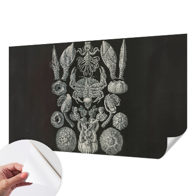Fototapet autocolant cu scena unui sat