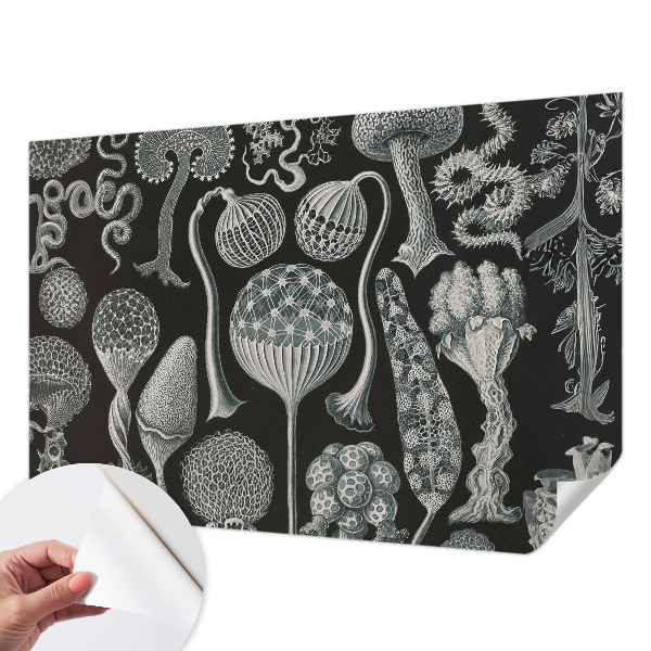 Tapet autoadeziv cu motiv abstract stelar