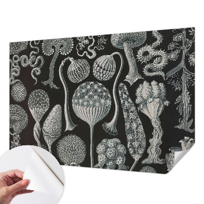 Tapet autoadeziv cu motiv abstract stelar